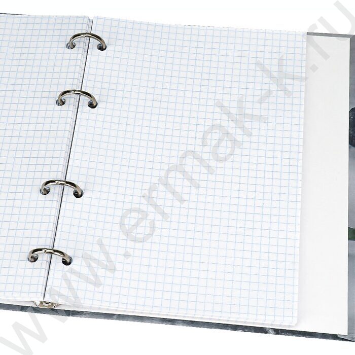 Тетрадь  80л клетка/кольца "Тихая природа" | Фото 3