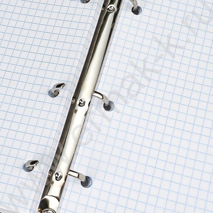 Тетрадь  80л клетка/кольца "Тихая природа" | Фото 4