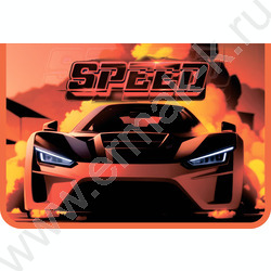 Папка д/труда А4 пластик, молния сверху, печать на картоне Race in desert | Фото 1