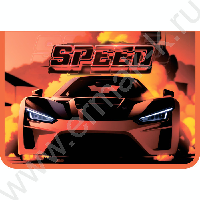 Папка д/труда А4 пластик, молния сверху, печать на картоне Race in desert | Фото 1