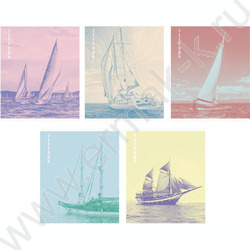 Тетрадь  80л линейка "Регата" 5видов | Фото 1