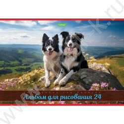 Альбом д/рисования 24л "Ассорти- Выпуск №4" | Фото 3