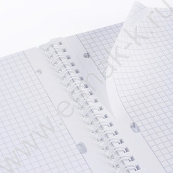 Тетрадь  80л А4 клетка/спираль/пластик.обл./многоуров.перфорация/ "LINE NEON Розовая" | Фото 3