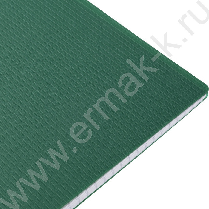 Тетрадь  80л А4 клетка/спираль/пластик.обл./многоуров.перфорация/ "VELVET  Зеленая" | Фото 2