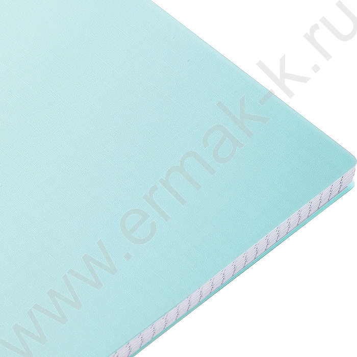 Тетрадь  80л А4 клетка/спираль/пластик.обл./многоуров.перфорация/ "CANVAS  Бирюза" | Фото 2