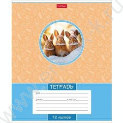 Тетрадь  12л линейка "Лесные малыши" 5видов | Фото 2