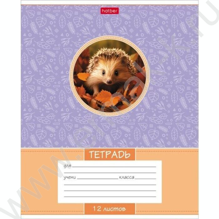Тетрадь  12л линейка "Лесные малыши" 5видов | Фото 4