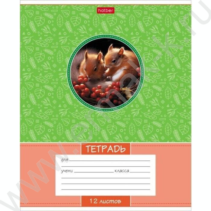 Тетрадь  12л линейка "Лесные малыши" 5видов | Фото 5