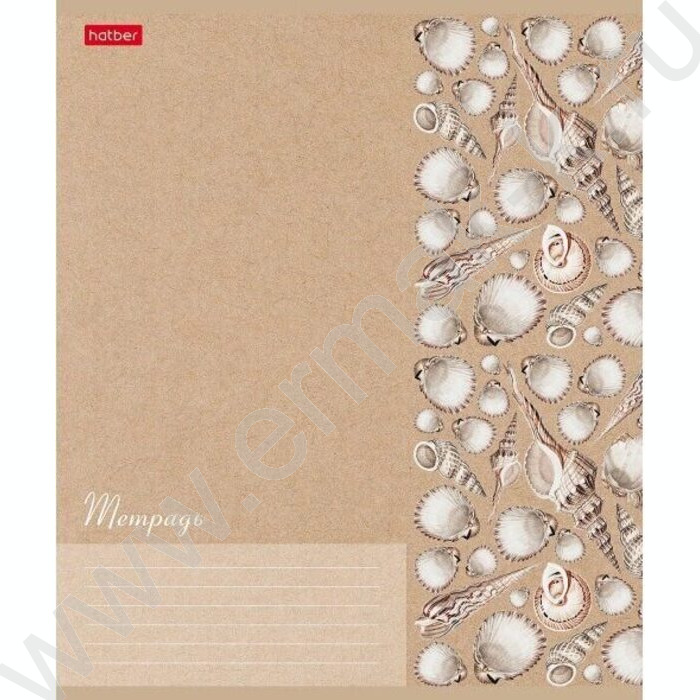 Тетрадь  18л клетка "Жемчужные ракушки" 5видов | Фото 1