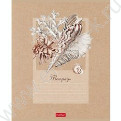 Тетрадь  18л клетка "Жемчужные ракушки" 5видов | Фото 3