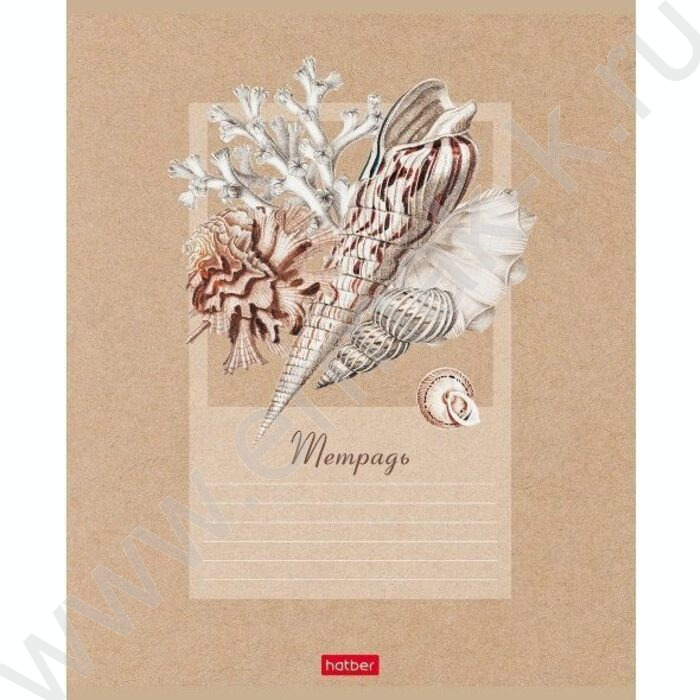 Тетрадь  18л клетка "Жемчужные ракушки" 5видов | Фото 3