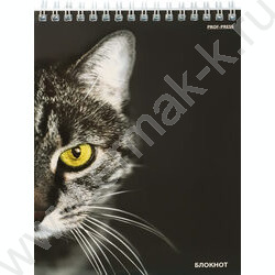 Блокнот  80л А5 спираль "Кошачий взгляд-1" ассорти | Фото 1