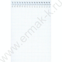 Блокнот  80л А5 спираль "Кошачий взгляд-1" ассорти | Фото 2