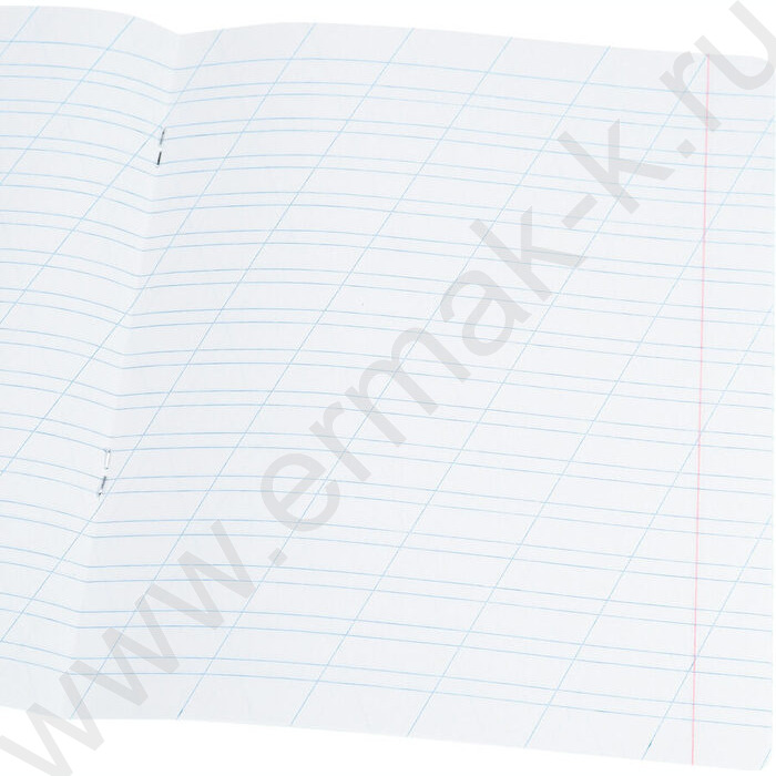 Тетрадь  12л линейка косая дополнительная "Фруктово-ягодное настроение" 5видов | Фото 9