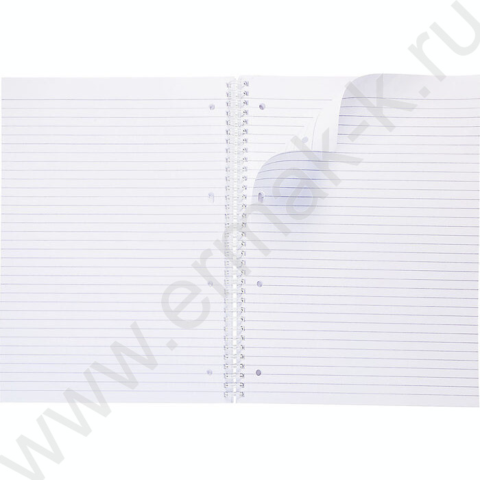 Тетрадь  80л А4 линейка/спираль/многоуров.перфорация "NEWtone PASTEL Мята" | Фото 2