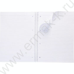 Тетрадь  80л А4 линейка/спираль/многоуров.перфорация "NEWtone PASTEL Пион" | Фото 2