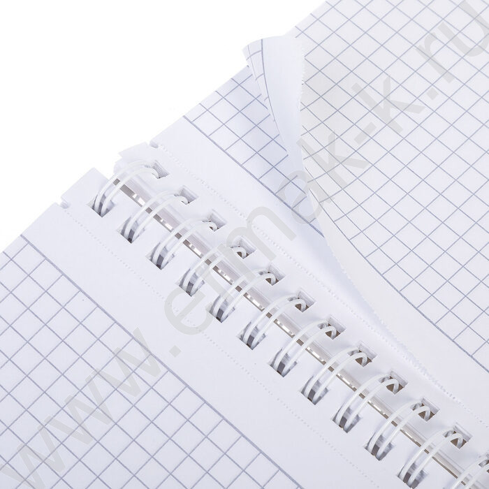 Тетрадь  96л А4 клетка/спираль/пл.обл./4цв.разделителя с линейкой с карманом PROGRESSIVE CANVAS  | Фото 3