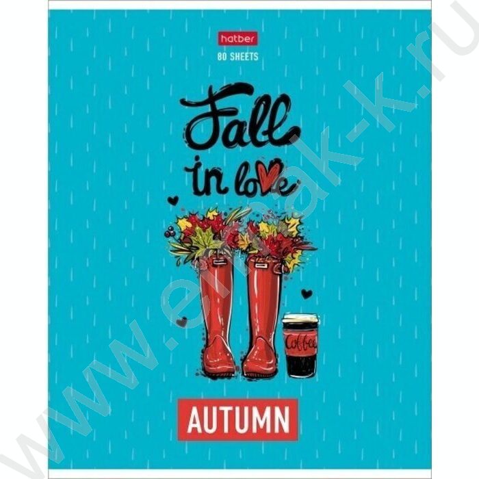 Тетрадь  80л клетка "Цветочные сапожки" /мат. ламин./тиснение/ 5видов | Фото 1