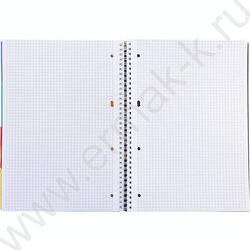 Тетрадь  96л А4 клетка/спираль с фигурной высечкой/перфорация на отрыв/пл.обл./4цв.разделителя с | Фото 5