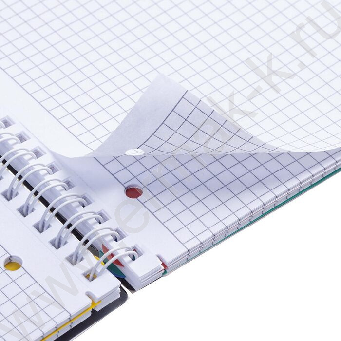 Тетрадь  96л А4 клетка/спираль с фигурной высечкой/перфорация на отрыв/пл.обл./4цв.разделителя с | Фото 5