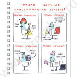 Тетрадь  96л клетка/спираль "Истории о селезне" 5видов /твин-лак/ | Фото 2