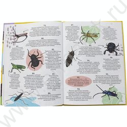 Энциклопедия на каждый день.365 Фактов о насекомых и пауках | Фото 2