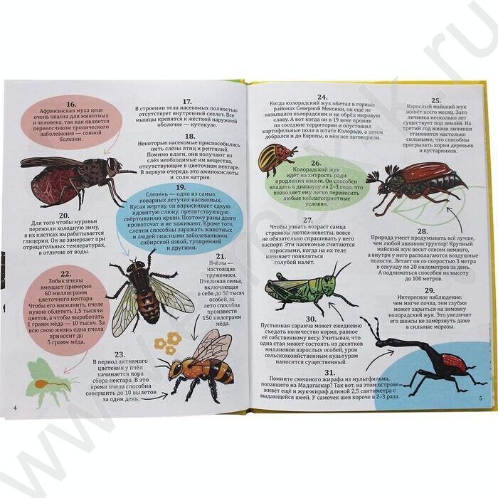 Энциклопедия на каждый день.365 Фактов о насекомых и пауках | Фото 3