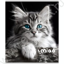 Тетрадь  48л клетка "Чёрно-белые котики" ассорти | Фото 3