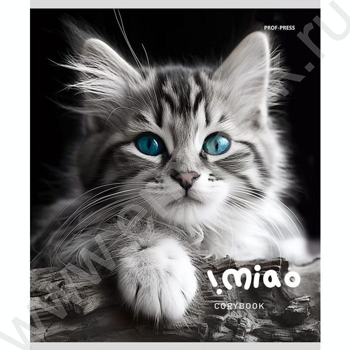 Тетрадь  48л клетка "Чёрно-белые котики" ассорти | Фото 3