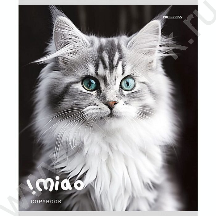 Тетрадь  48л клетка "Чёрно-белые котики" ассорти | Фото 4