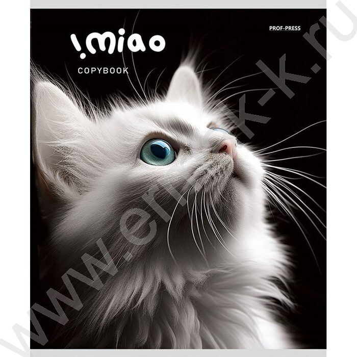 Тетрадь  48л клетка "Чёрно-белые котики" ассорти | Фото 5