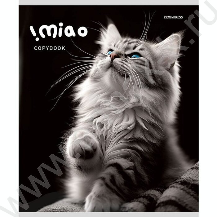 Тетрадь  48л клетка "Чёрно-белые котики" ассорти | Фото 6