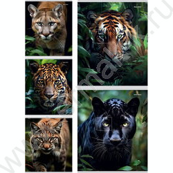 Тетрадь  48л линейка "Взгляд диких кошек" ассорти | Фото 1