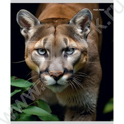 Тетрадь  48л линейка "Взгляд диких кошек" ассорти | Фото 2