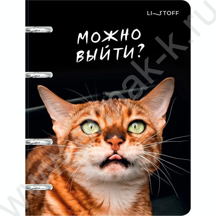 Тетрадь 100л клетка/кольца "Котики" /пластик/ | Фото 1