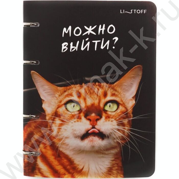 Тетрадь 100л клетка/кольца "Котики" /пластик/ | Фото 2