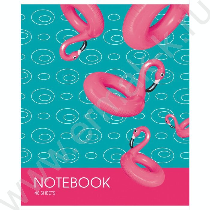 Тетрадь  48л клетка "Яркие акценты" (блок эконом) | Фото 2