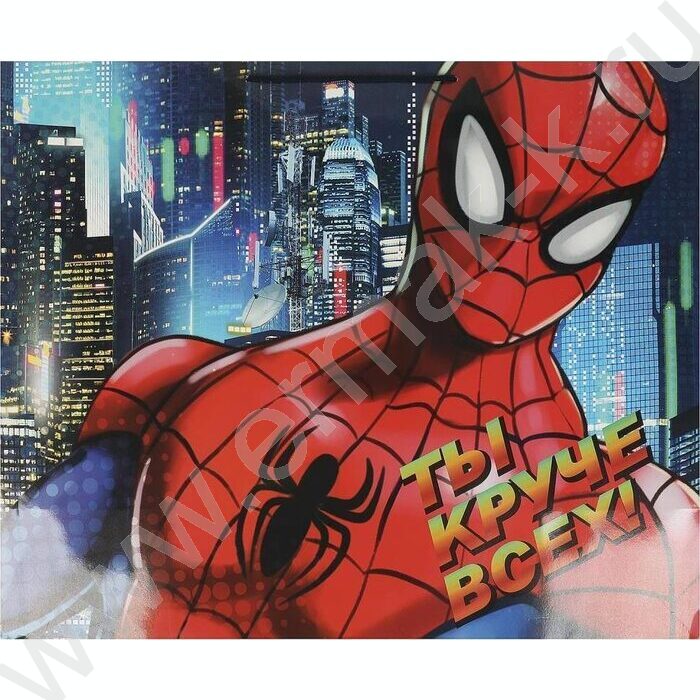 Пакет подарочный бумажный xxl 40*49*19см | Фото 1