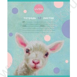 Тетрадь  12л клетка "Узнай себя!-(Lucia Heffernan)" 5видов | Фото 2