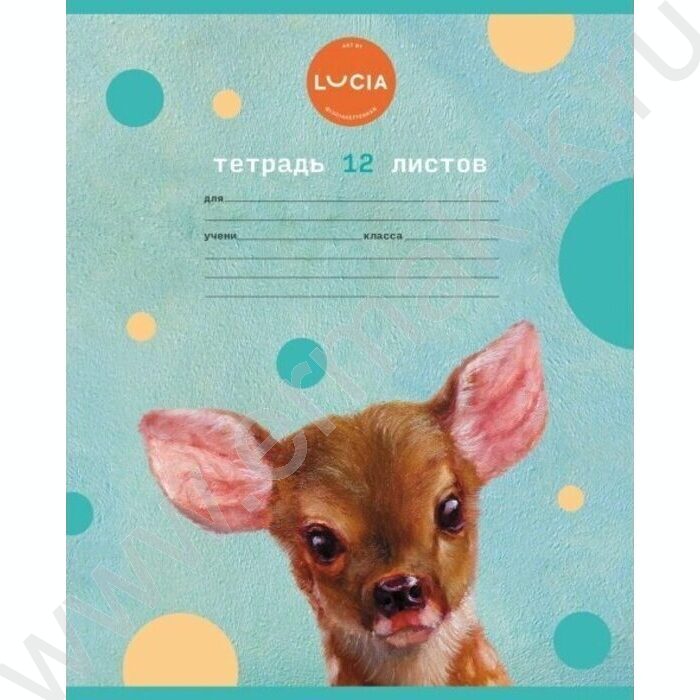 Тетрадь  12л клетка "Узнай себя!-(Lucia Heffernan)" 5видов | Фото 5