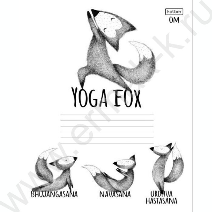 Тетрадь  24л линейка "Animals Yoga" 5видов | Фото 1