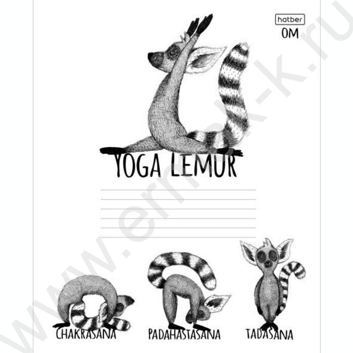 Тетрадь  24л линейка "Animals Yoga" 5видов | Фото 5