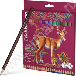 Карандаши  24цв Safari, грифель - 3,3мм /трехгранные /европодвес | Фото 1