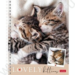 Тетрадь  48л линейка/спираль "Мяу-Котики" 4вида | Фото 3