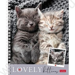 Тетрадь  48л линейка/спираль "Мяу-Котики" 4вида | Фото 4