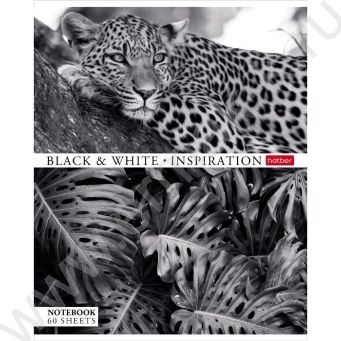 Тетрадь  60л клетка "Вдохновение" ассорти | Фото 1