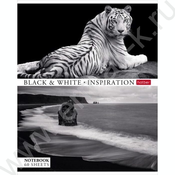 Тетрадь  60л клетка "Вдохновение" ассорти | Фото 5