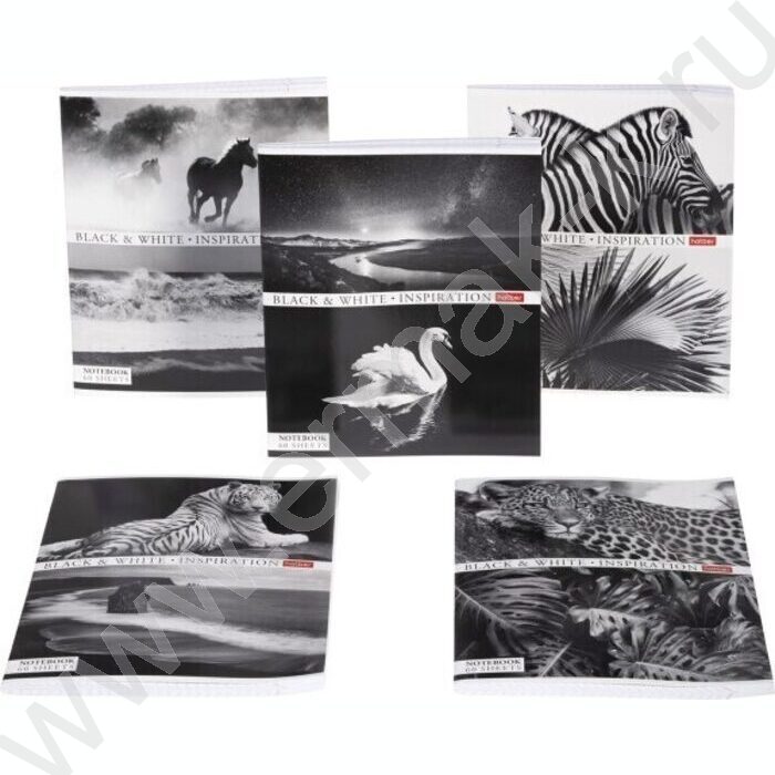 Тетрадь  60л клетка "Вдохновение" ассорти | Фото 6