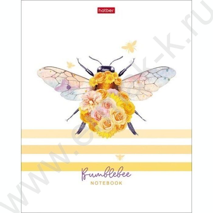 Тетрадь  80л клетка "Прекрасные создания" /мат. ламин./ 5видов | Фото 1