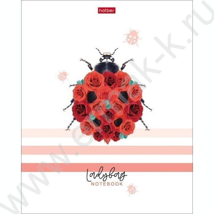 Тетрадь  80л клетка "Прекрасные создания" /мат. ламин./ 5видов | Фото 5